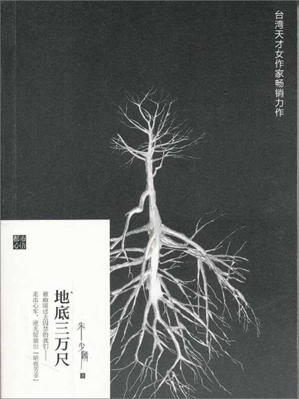 书籍《地底三万尺-朱少麟》 - 插图1
