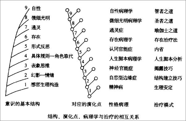 书籍《恩宠与勇气：超越死亡-肯威尔伯》 - 插图2