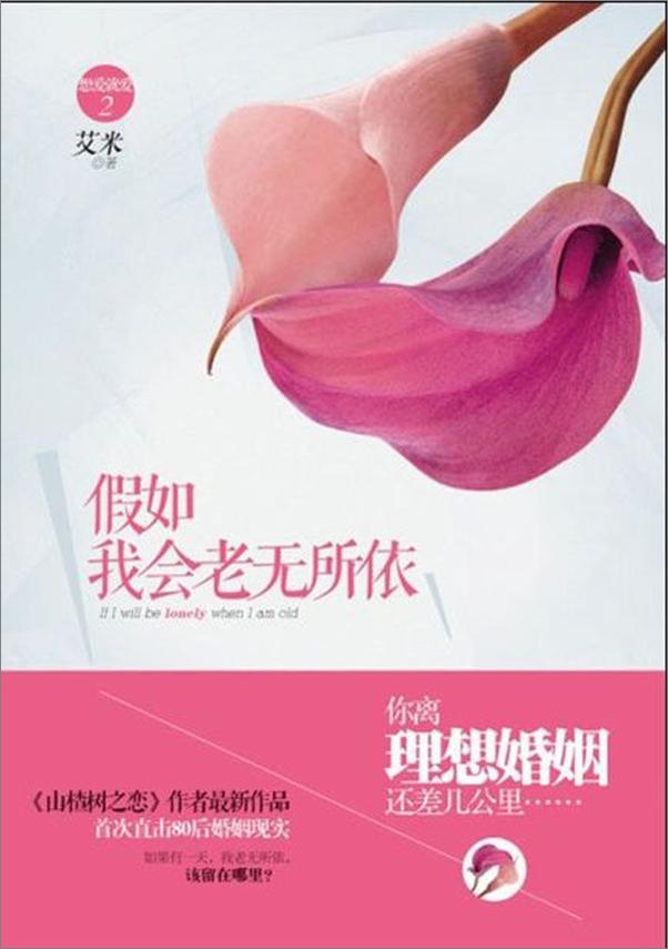书籍《假如我会老无所依-艾米》 - 插图1