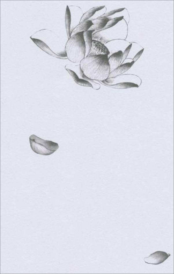 书籍《纳兰容若词传-苏缨》 - 插图2