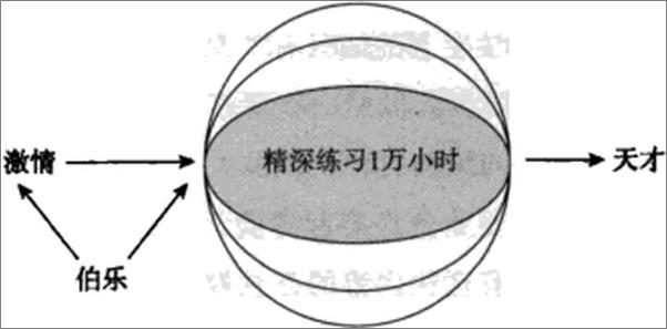 书籍《一万小时天才理论-丹尼尔科伊尔》 - 插图2