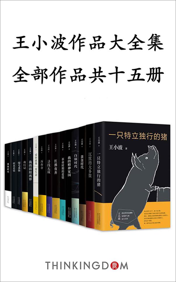 书籍《王小波作品大全集（15册）》 - 插图1