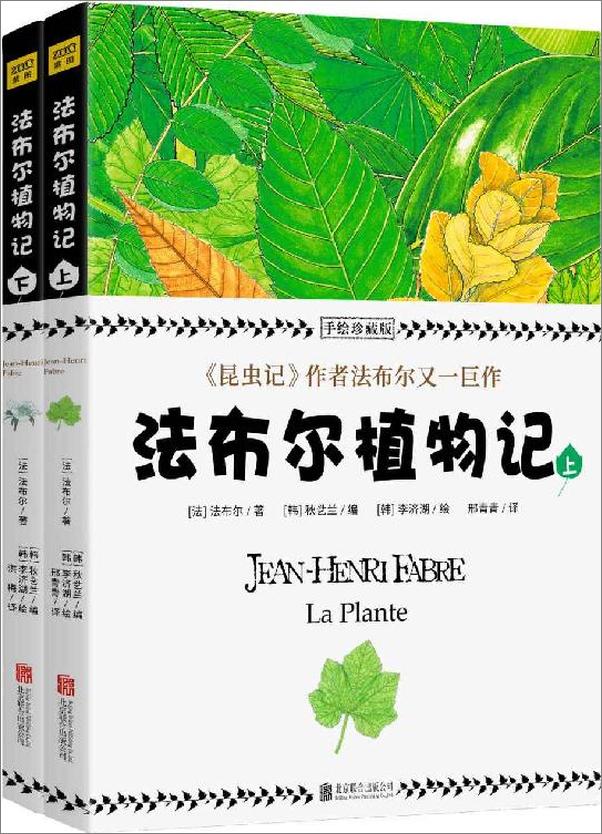 书籍《自然万物科普百科：昆虫记+法布尔植物记+大自然的社交网络+森林的奇妙旅行(套装，共14册)》 - 插图1