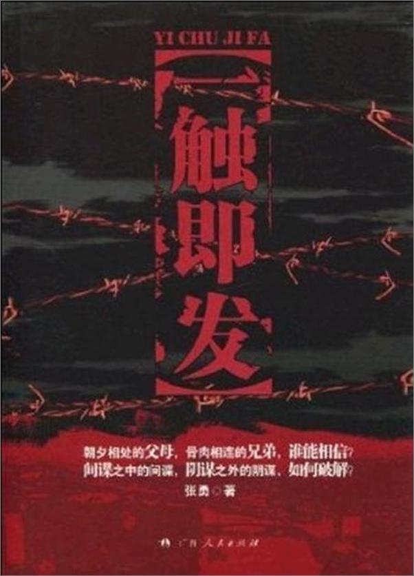 书籍《一触即发-张勇》 - 插图1