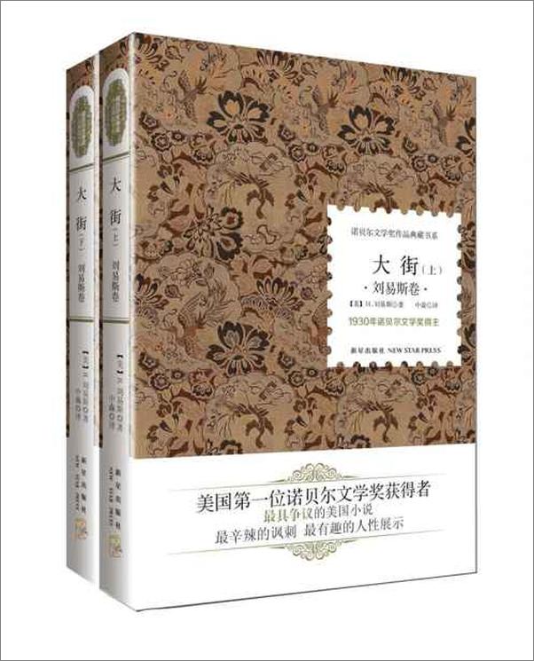 书籍《诺贝尔文学奖作品典藏书系：大街-H.刘易斯》 - 插图1
