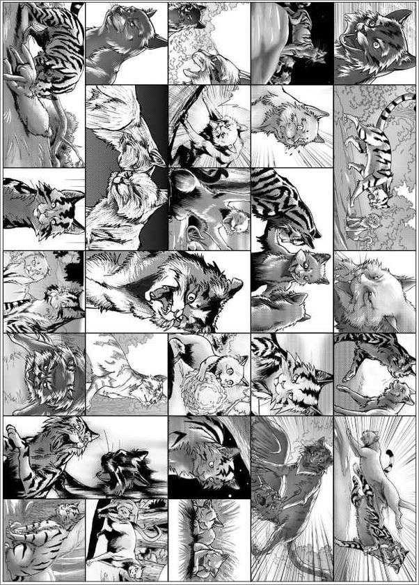 书籍《猫武士首部曲(套装共6册)》 - 插图2