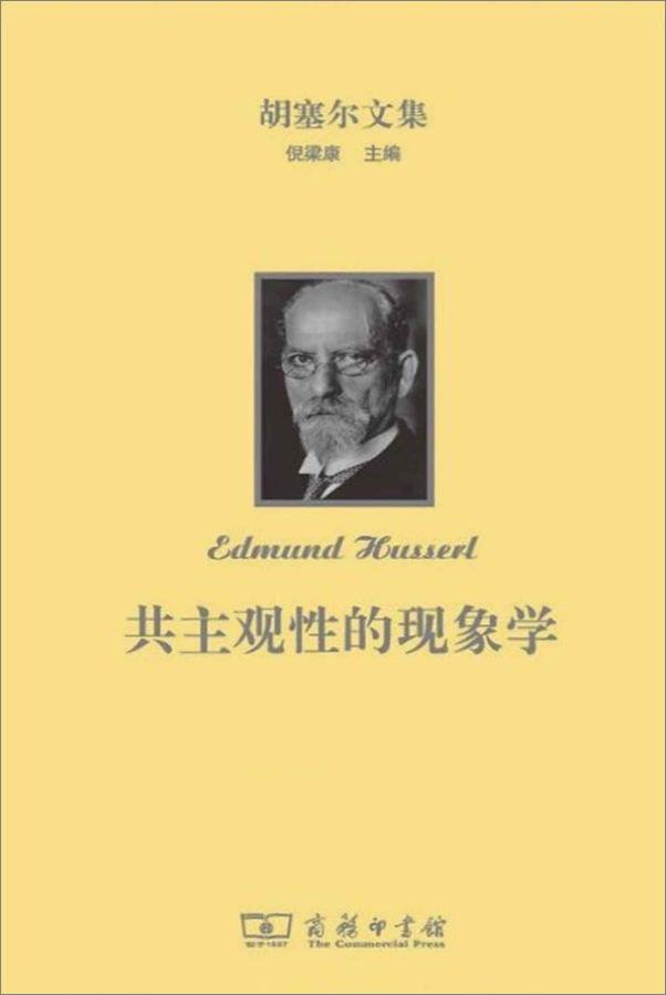 书籍《胡塞尔文集 共主观性的现象学(全三卷）》 - 插图1