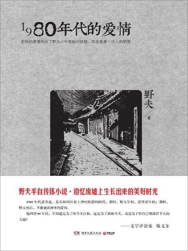 书籍《1980年代的爱情-野夫》 - 插图1