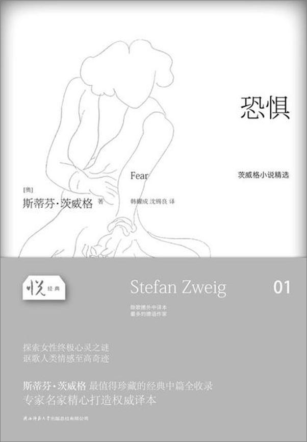 书籍《恐惧-斯蒂芬茨威格》 - 插图1