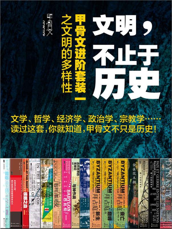 书籍《文明，不止于历史：甲骨文进阶套装一之文明的多样性（全16册）》 - 插图1