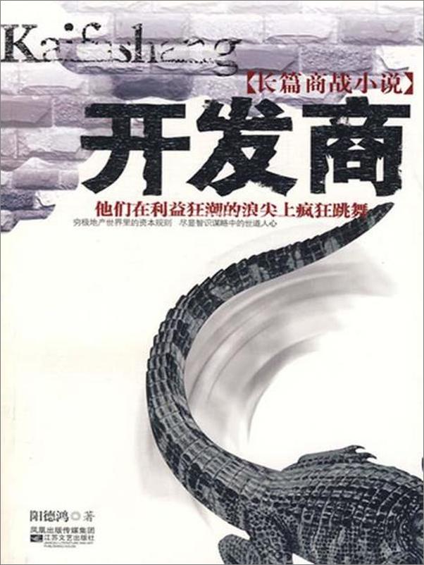 书籍《开发商-阳德鸿》 - 插图1