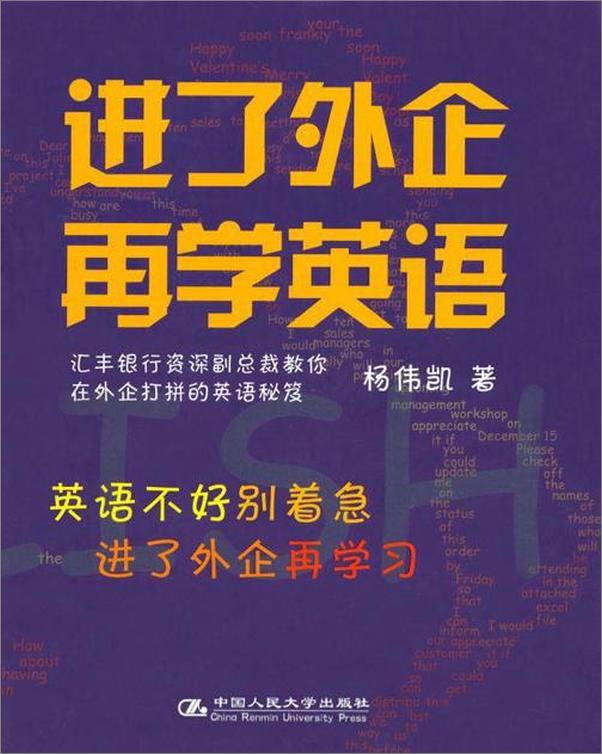 书籍《进了外企再学英语-杨伟凯》 - 插图1