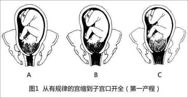 书籍《坐好月子与新生儿护理600问-罗立华等》 - 插图2